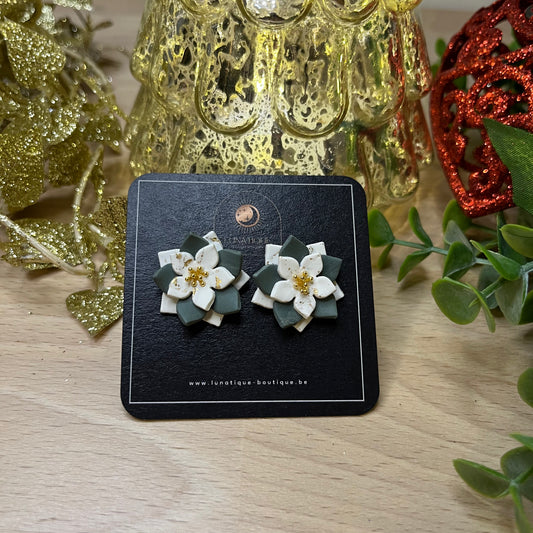 "Rose de Noël", n°5